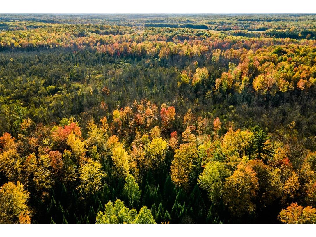 000 Padre Wittenberg WI 54499 1596245 image41