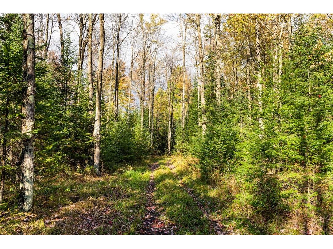 000 Padre Wittenberg WI 54499 1596245 image42