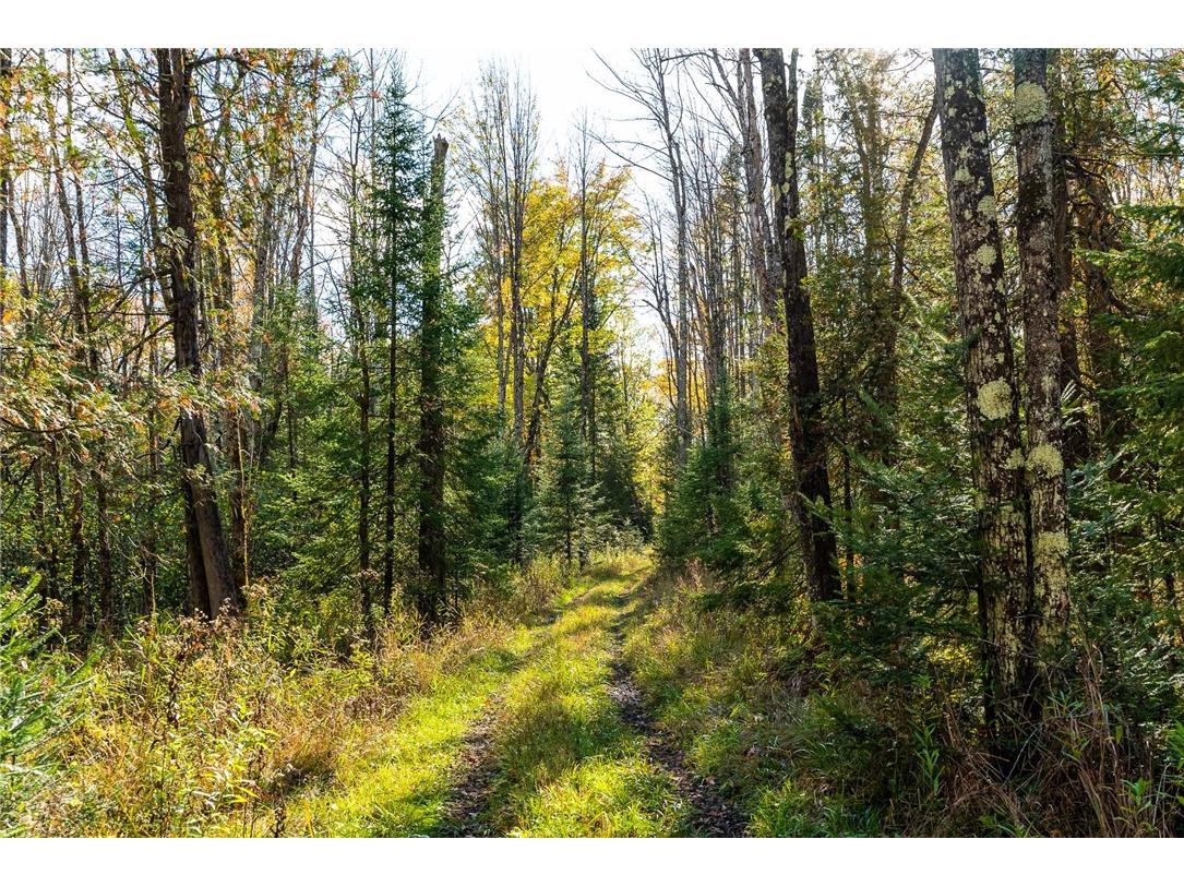 000 Padre Wittenberg WI 54499 1596245 image43