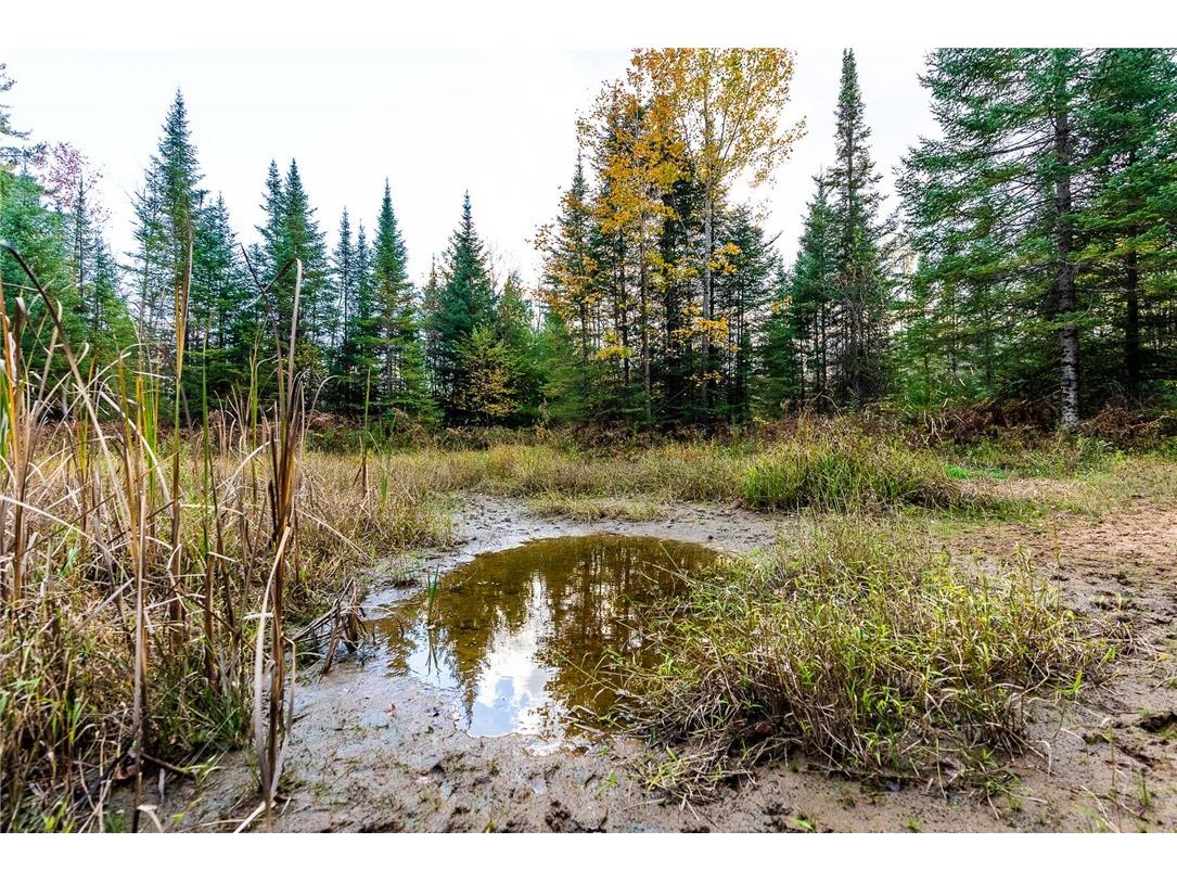 000 Padre Wittenberg WI 54499 1596245 image44