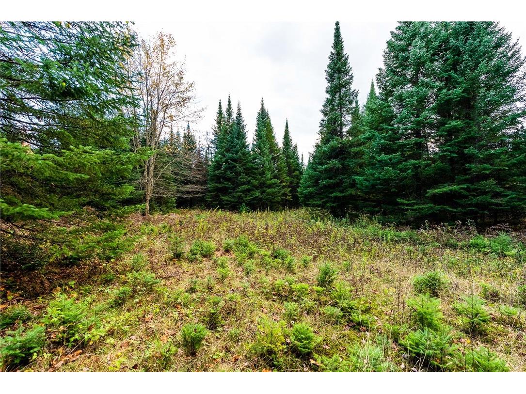 000 Padre Wittenberg WI 54499 1596245 image45