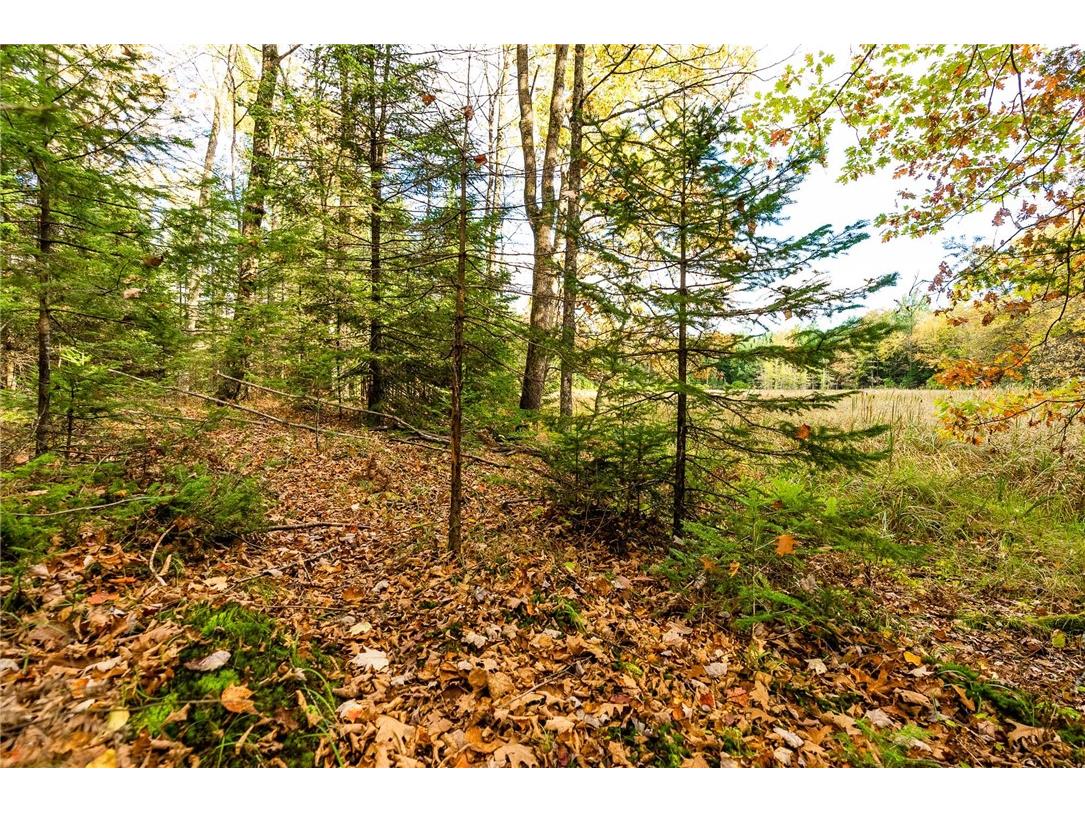 000 Padre Wittenberg WI 54499 1596245 image46