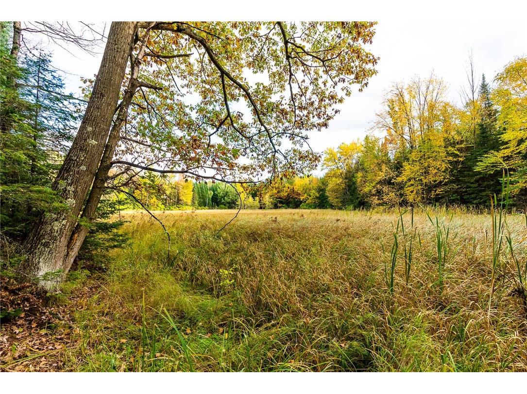 000 Padre Wittenberg WI 54499 1596245 image47