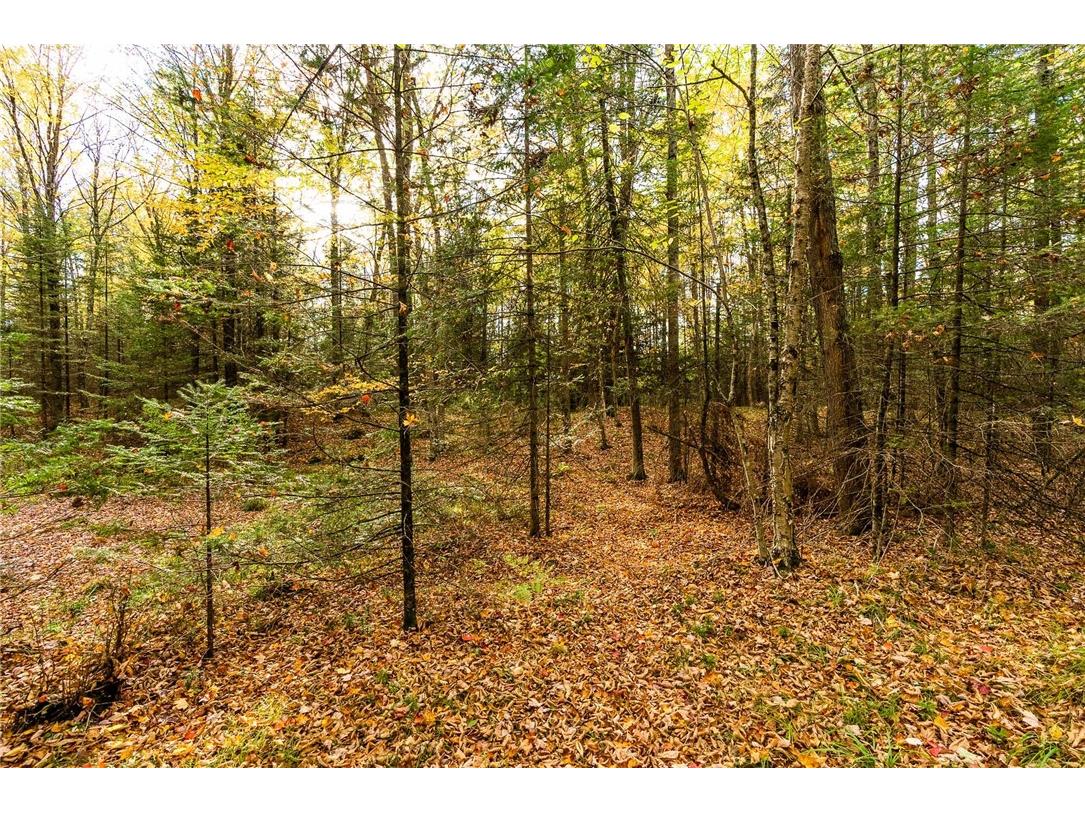 000 Padre Wittenberg WI 54499 1596245 image48