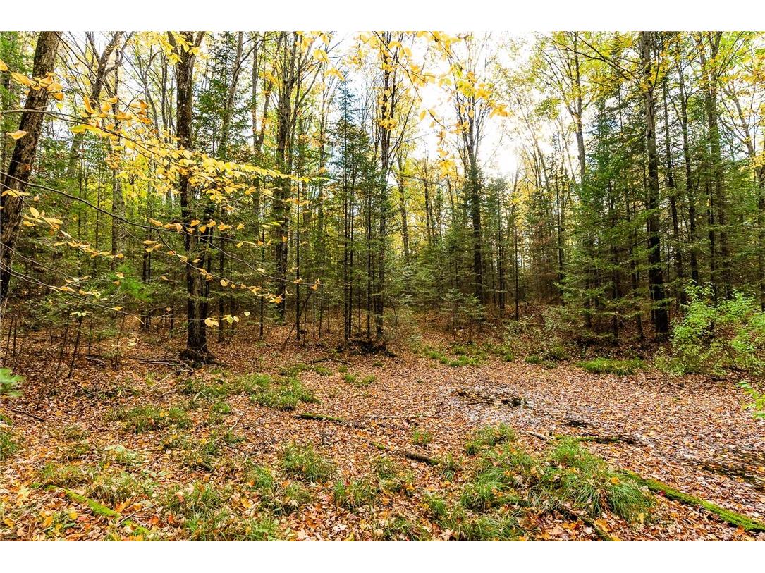 000 Padre Wittenberg WI 54499 1596245 image49