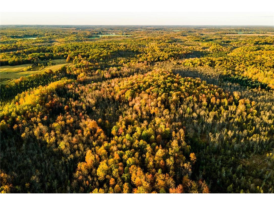 000 Padre Wittenberg WI 54499 1596245 image5