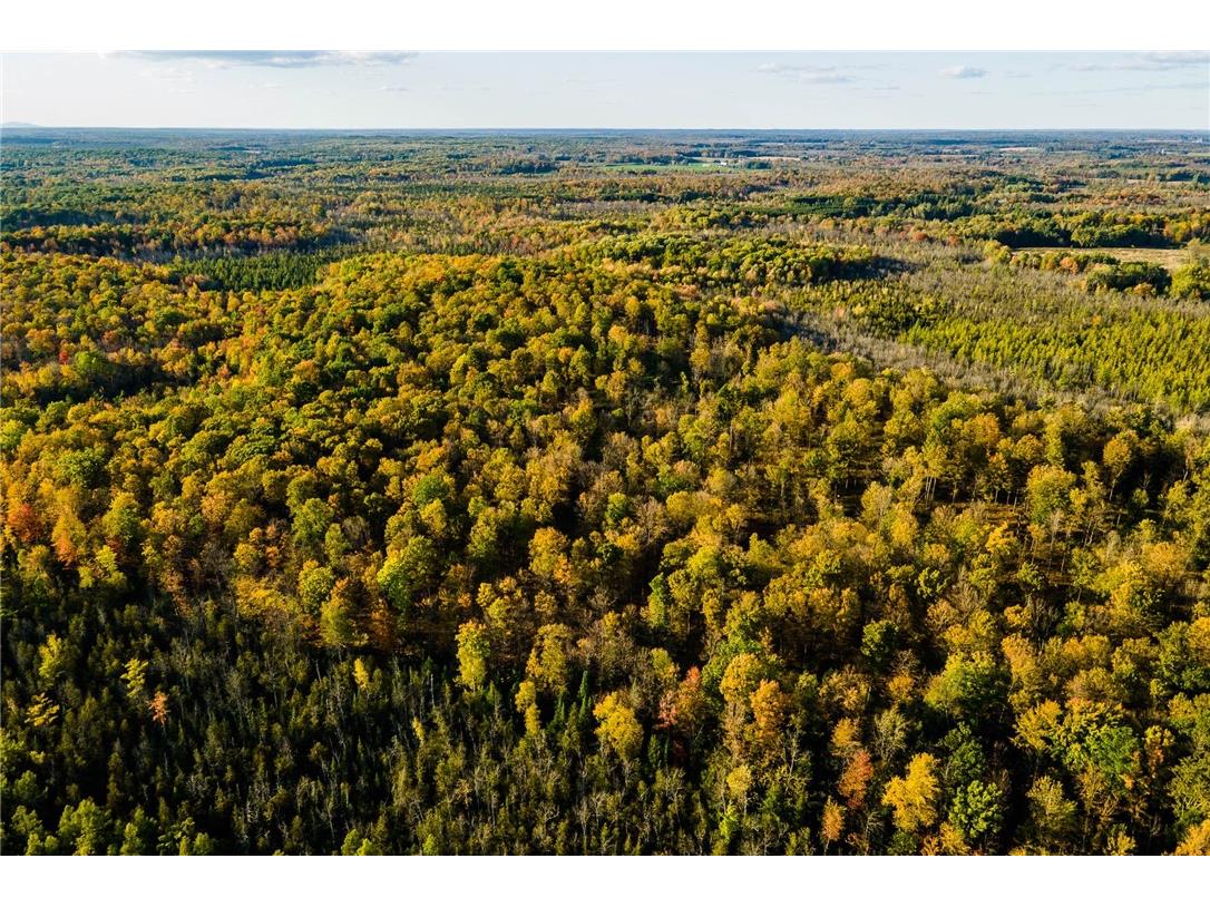 000 Padre Wittenberg WI 54499 1596245 image50