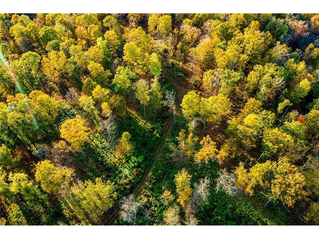 000 Padre Wittenberg WI 54499 1596245 image51