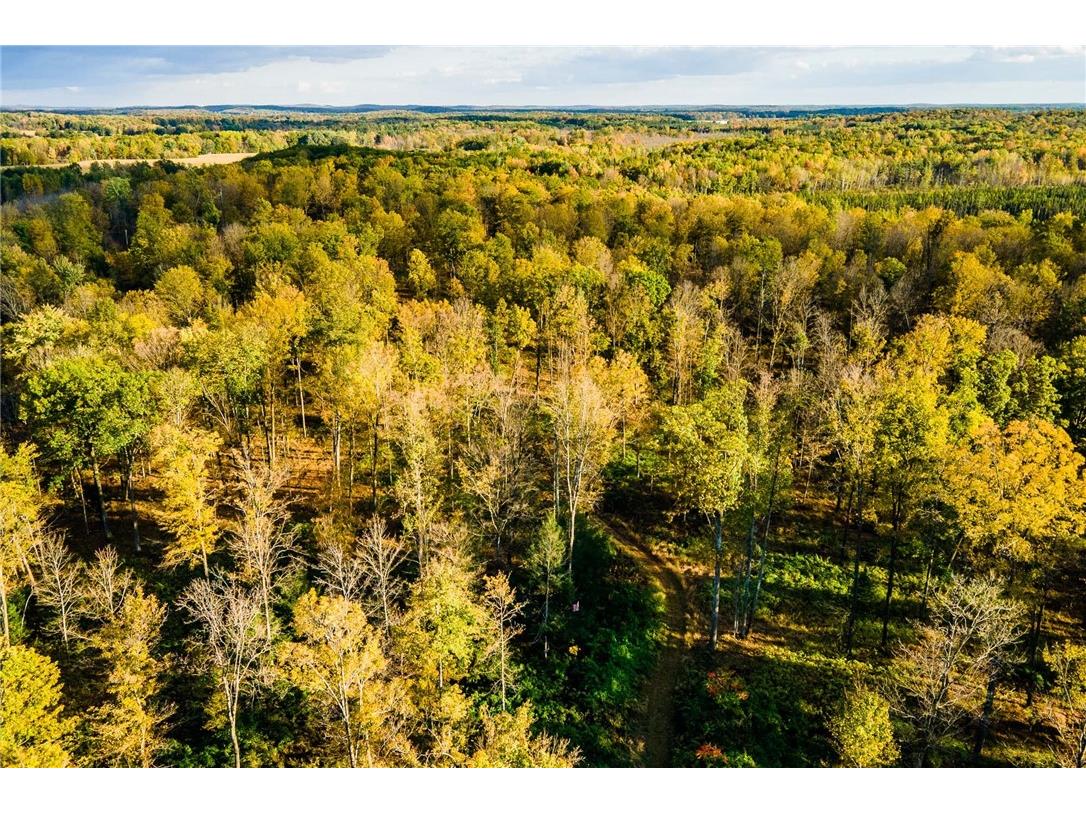 000 Padre Wittenberg WI 54499 1596245 image52