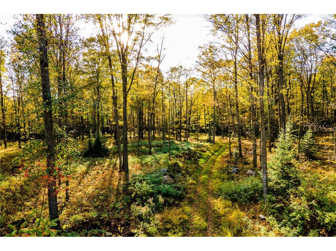 000 Padre Wittenberg WI 54499 1596245 image53