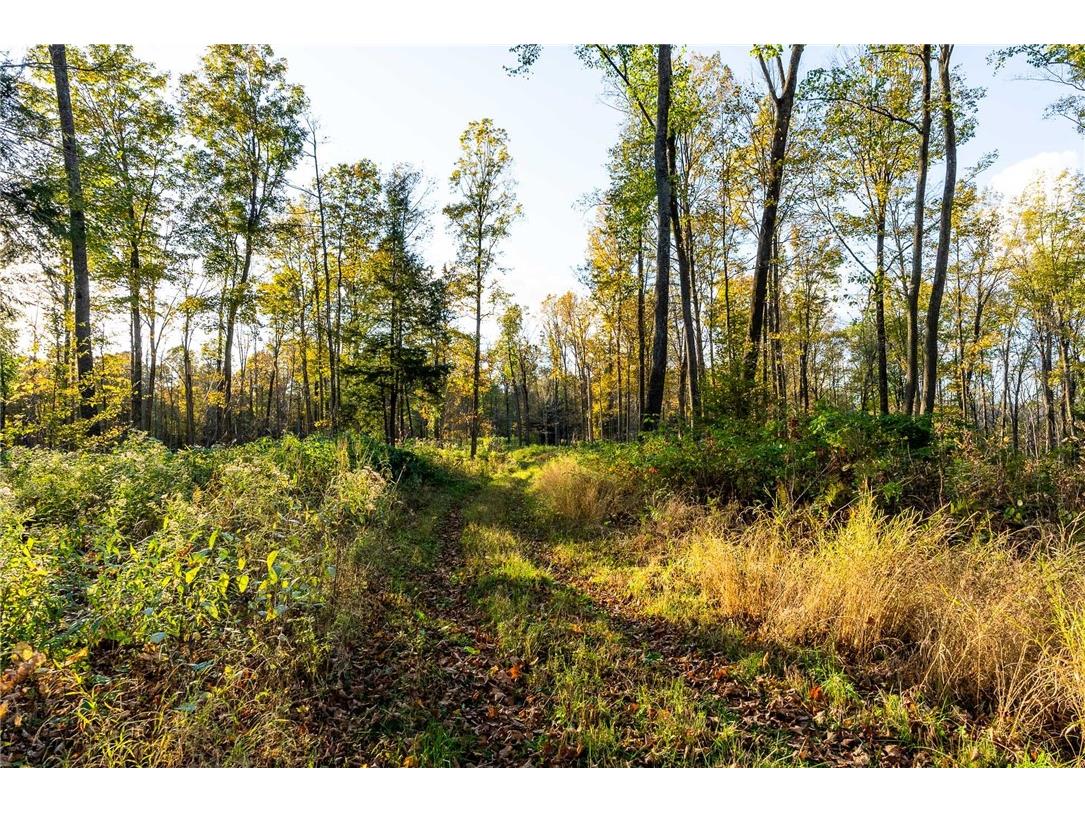 000 Padre Wittenberg WI 54499 1596245 image54