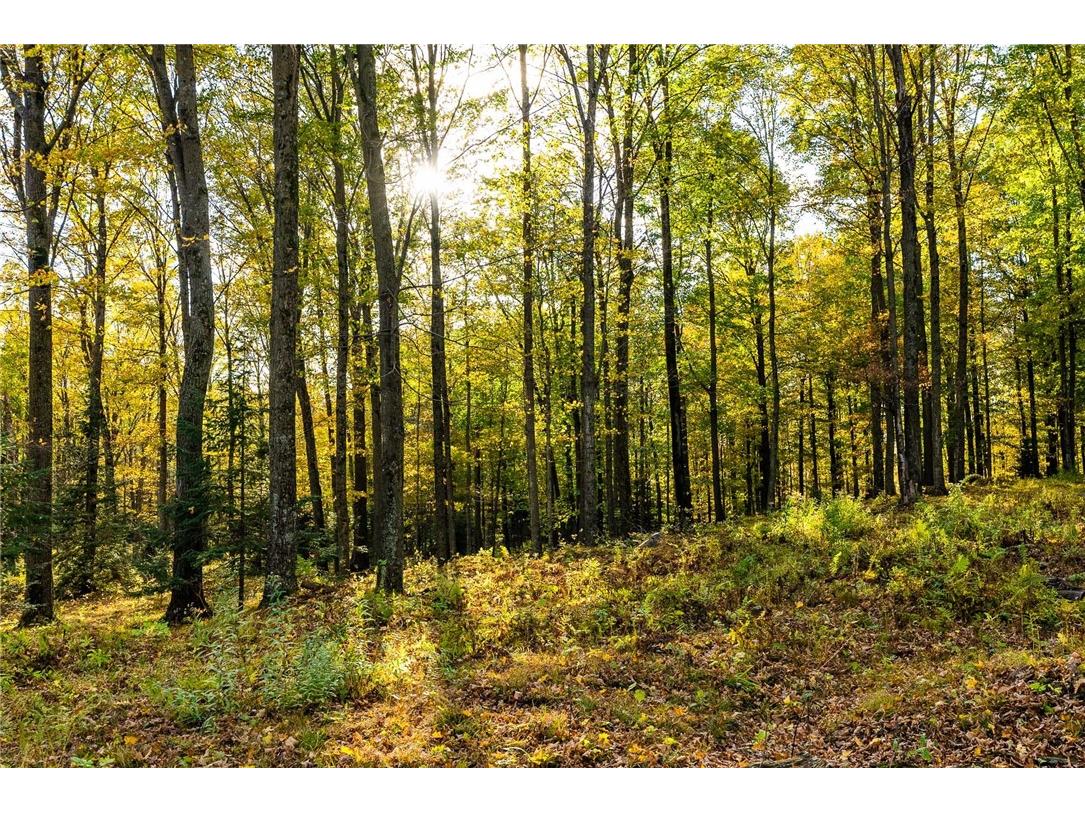 000 Padre Wittenberg WI 54499 1596245 image55