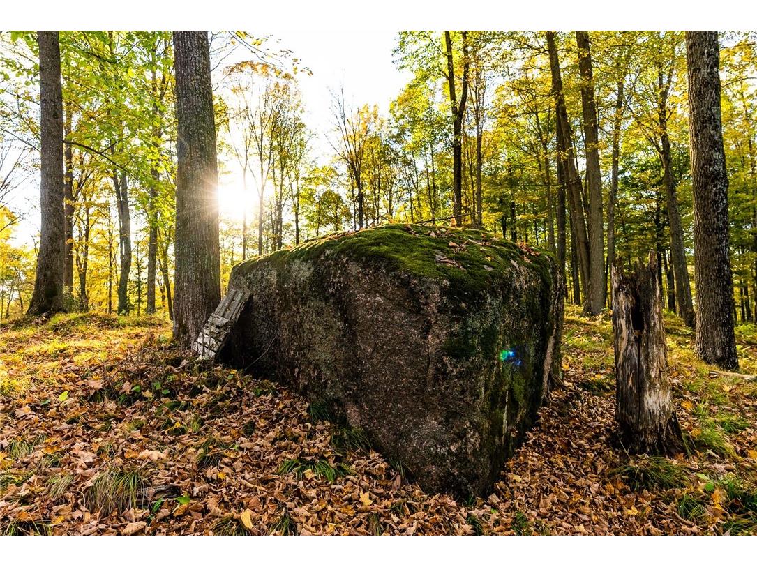 000 Padre Wittenberg WI 54499 1596245 image56