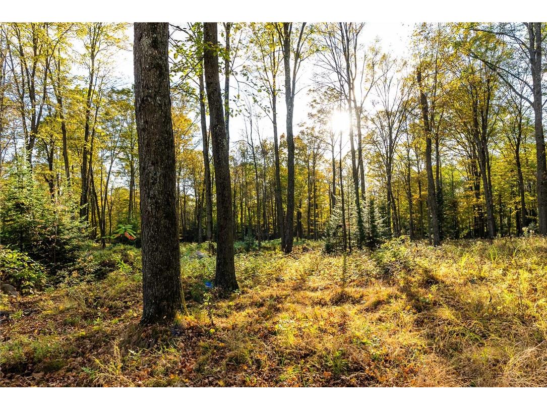 000 Padre Wittenberg WI 54499 1596245 image57