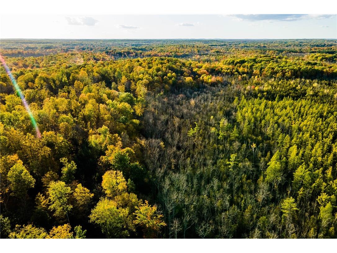 000 Padre Wittenberg WI 54499 1596245 image58