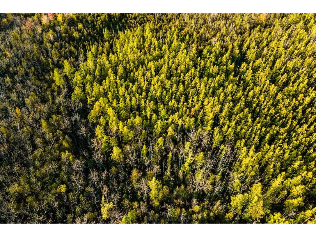 000 Padre Wittenberg WI 54499 1596245 image59