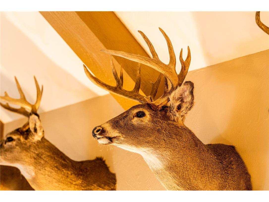 000 Padre Wittenberg WI 54499 1596245 image6