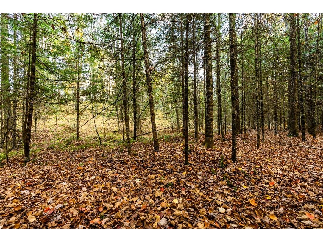 000 Padre Wittenberg WI 54499 1596245 image60