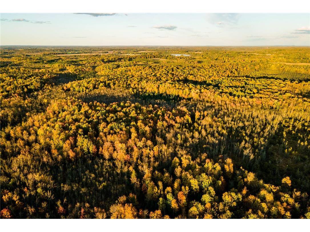 000 Padre Wittenberg WI 54499 1596245 image7