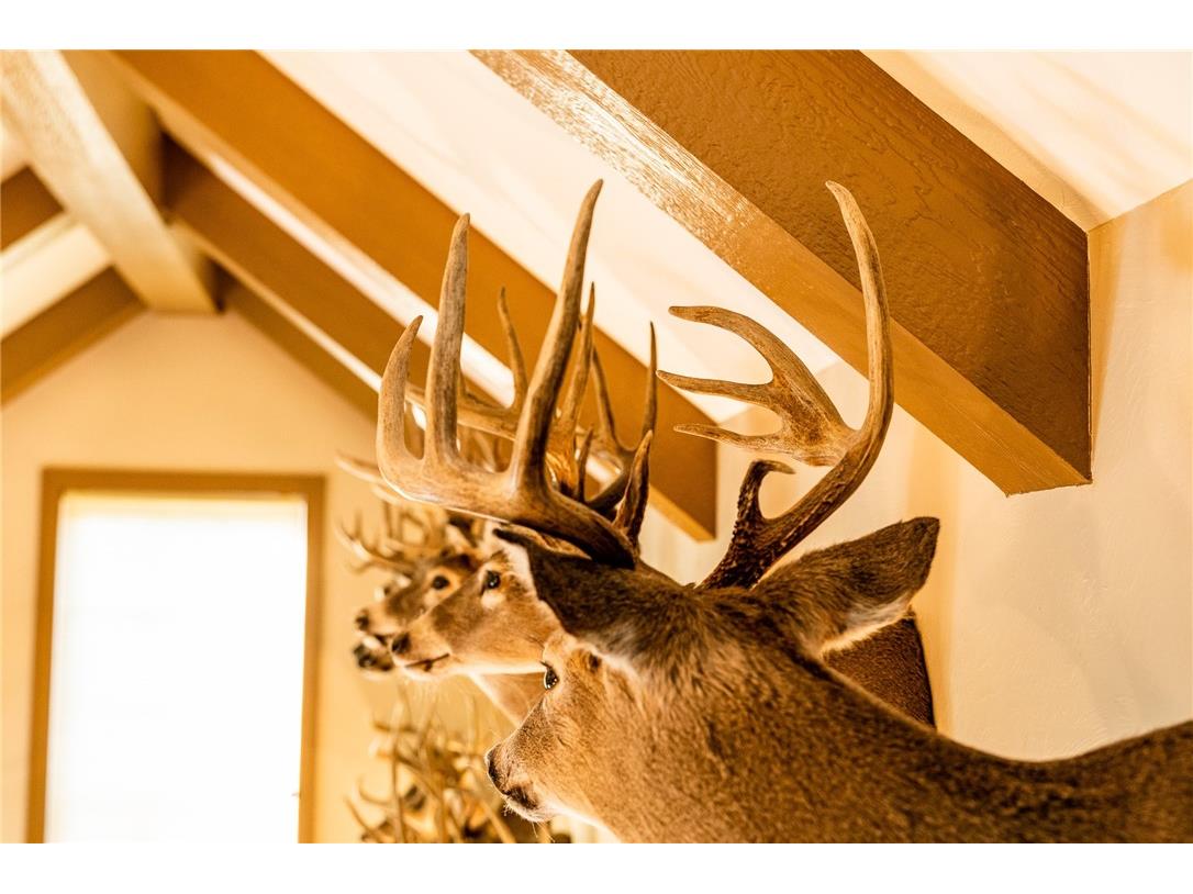 000 Padre Wittenberg WI 54499 1596245 image8