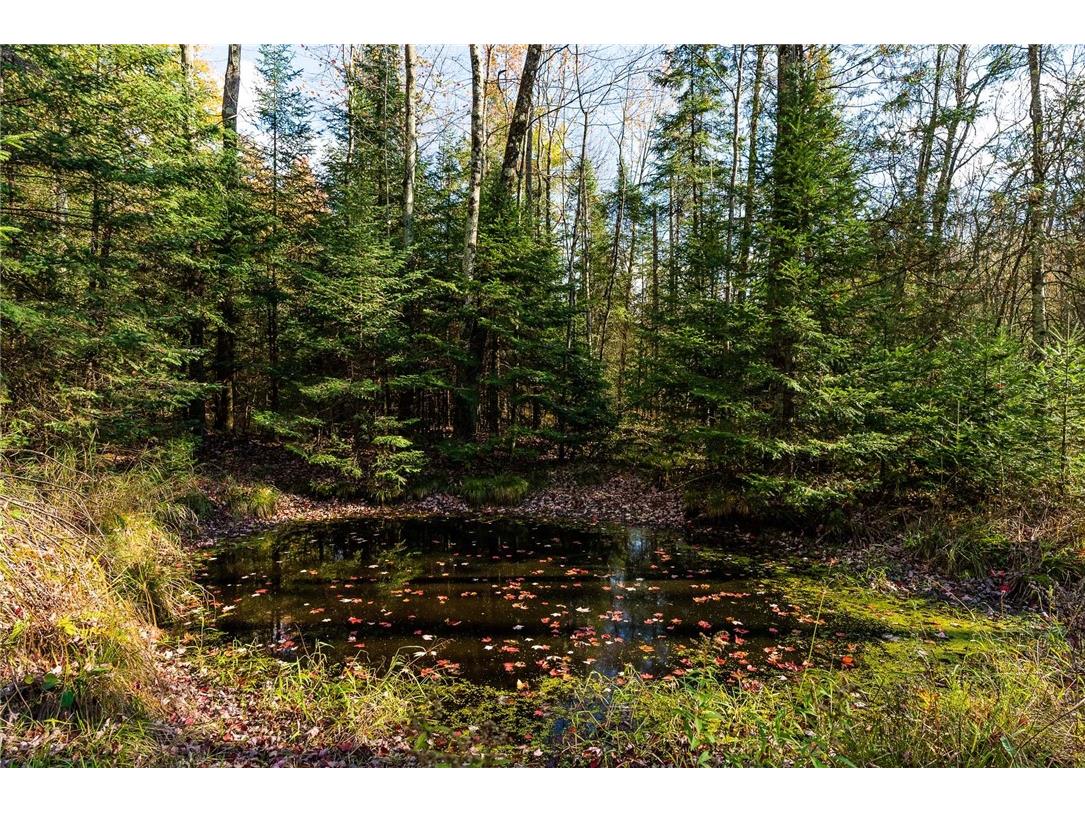 000 Padre Wittenberg WI 54499 1596245 image9