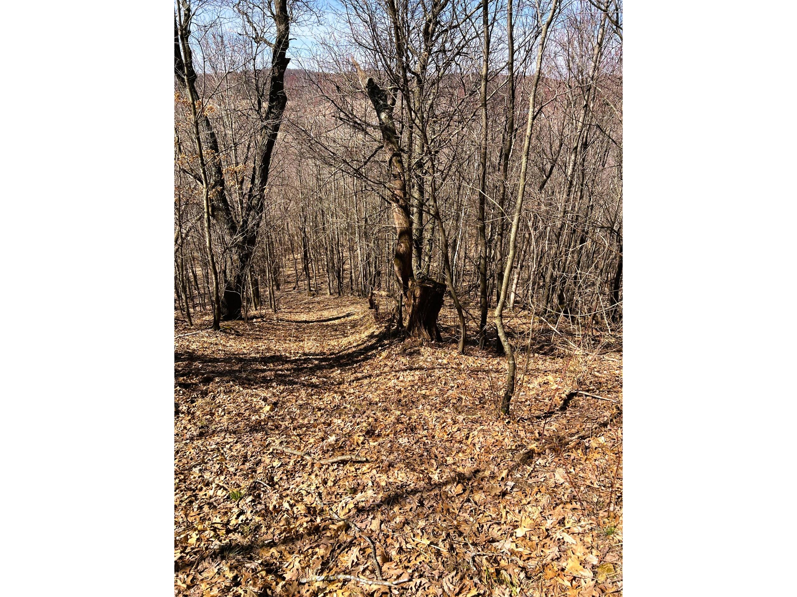 000 Pete Coulee Road Taylor WI 54659 1599909 image16