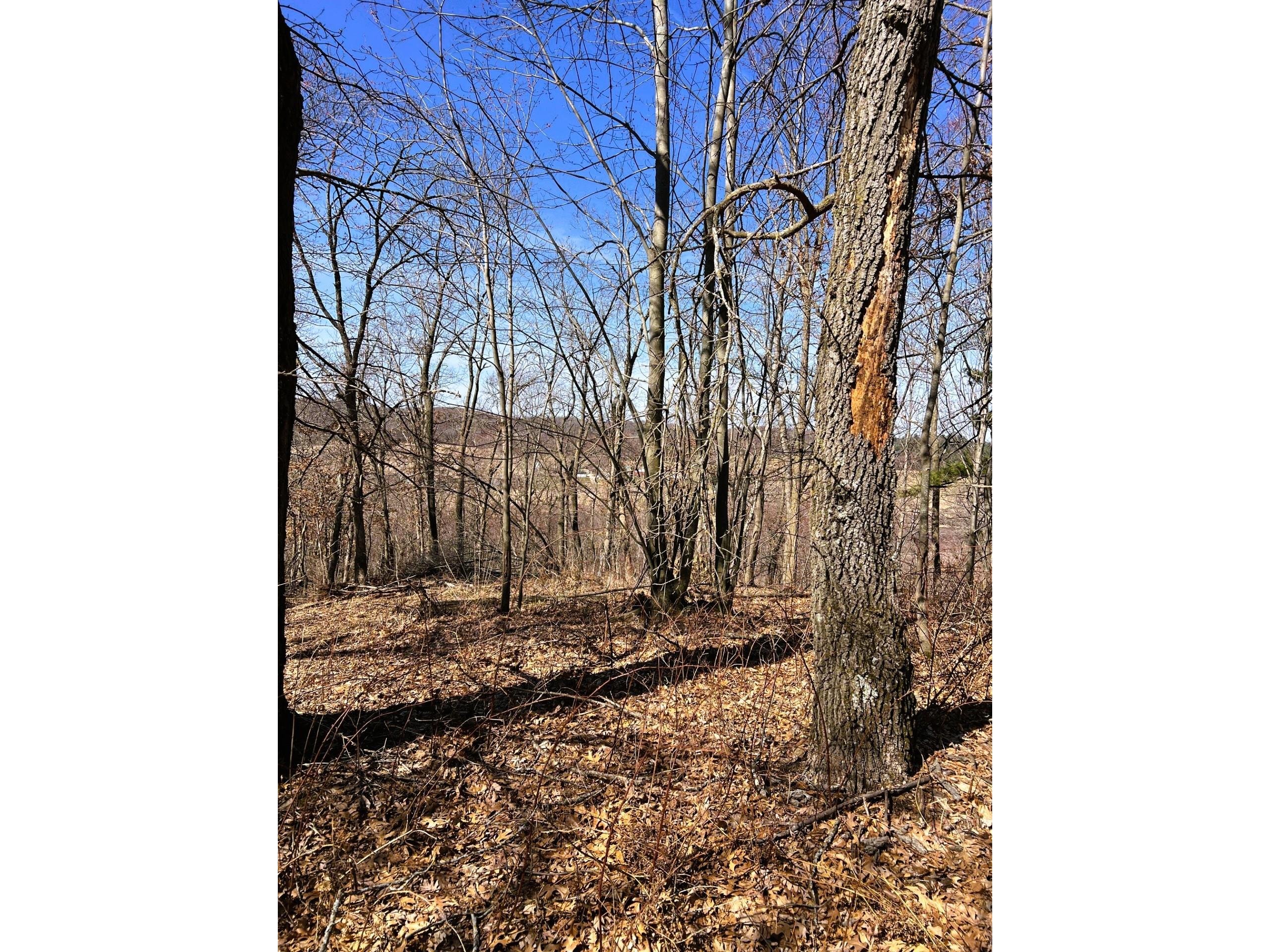 000 Pete Coulee Road Taylor WI 54659 1599909 image18