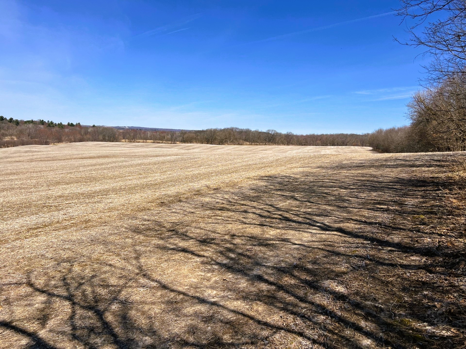 000 Pete Coulee Road Taylor WI 54659 1599909 image21