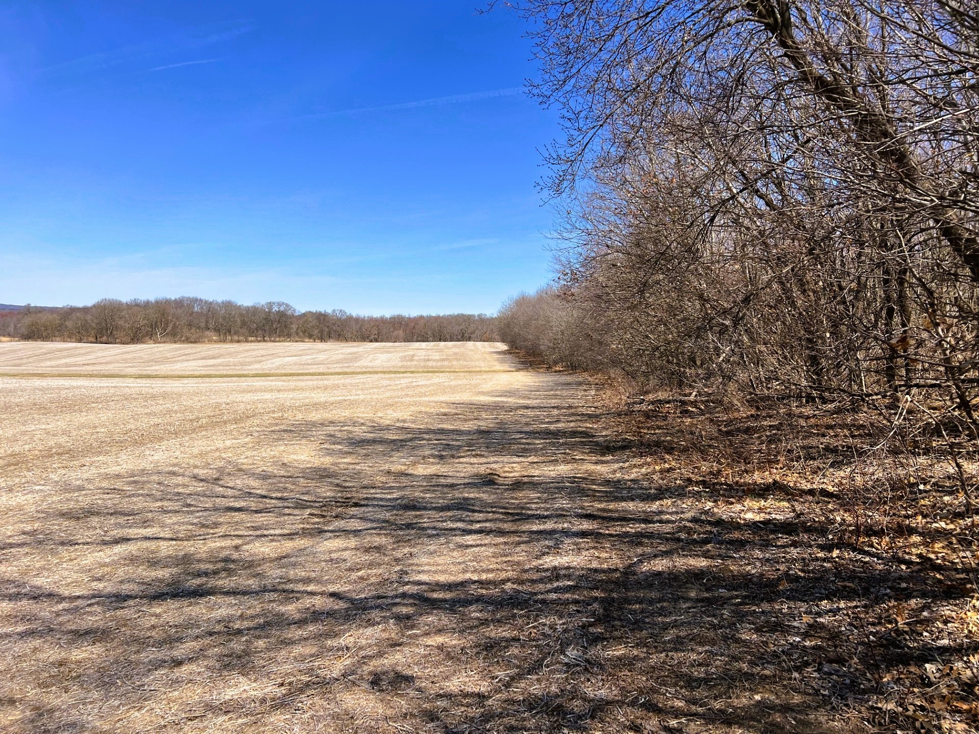 000 Pete Coulee Road Taylor WI 54659 1599909 image23