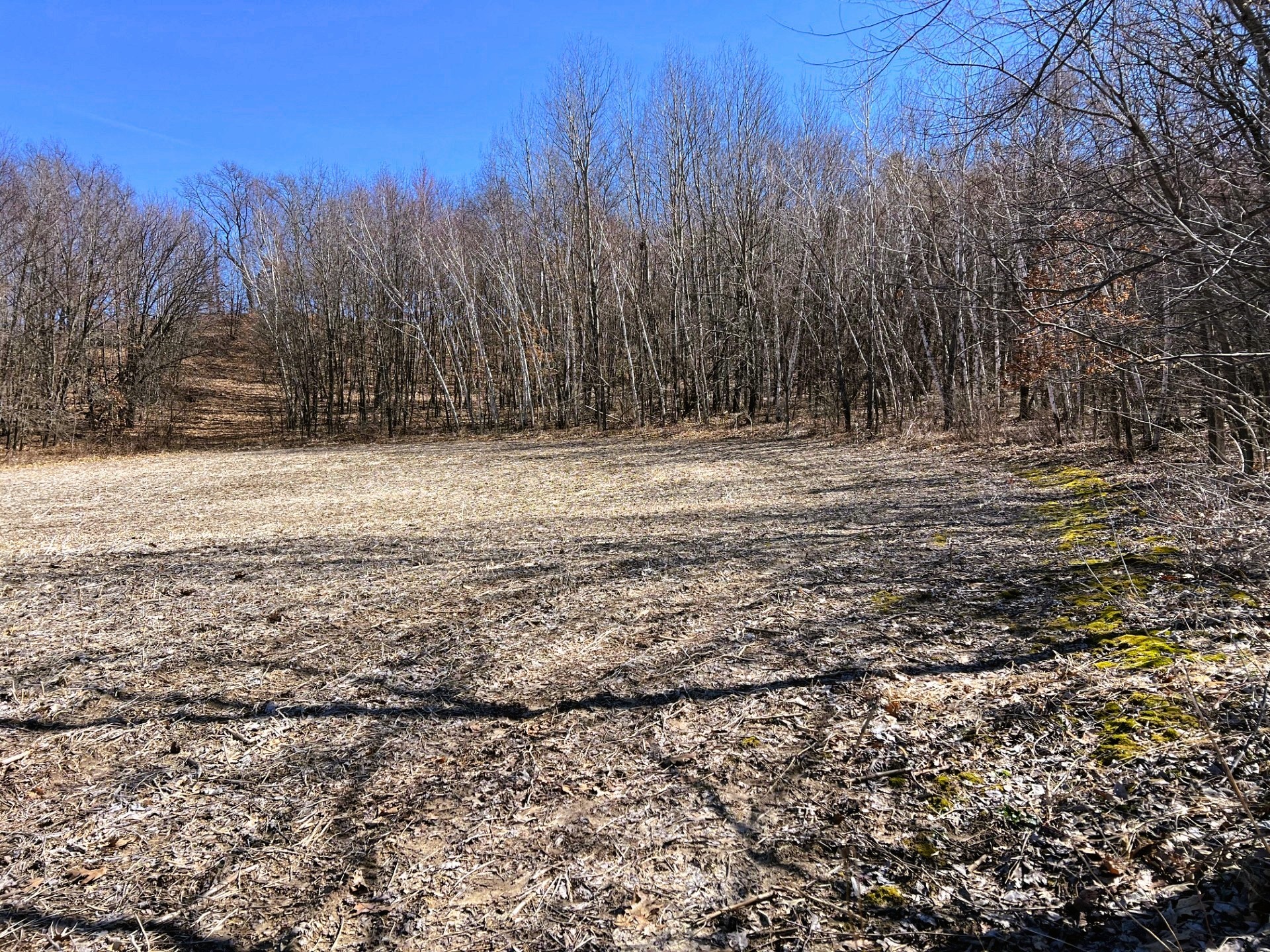 000 Pete Coulee Road Taylor WI 54659 1599909 image25