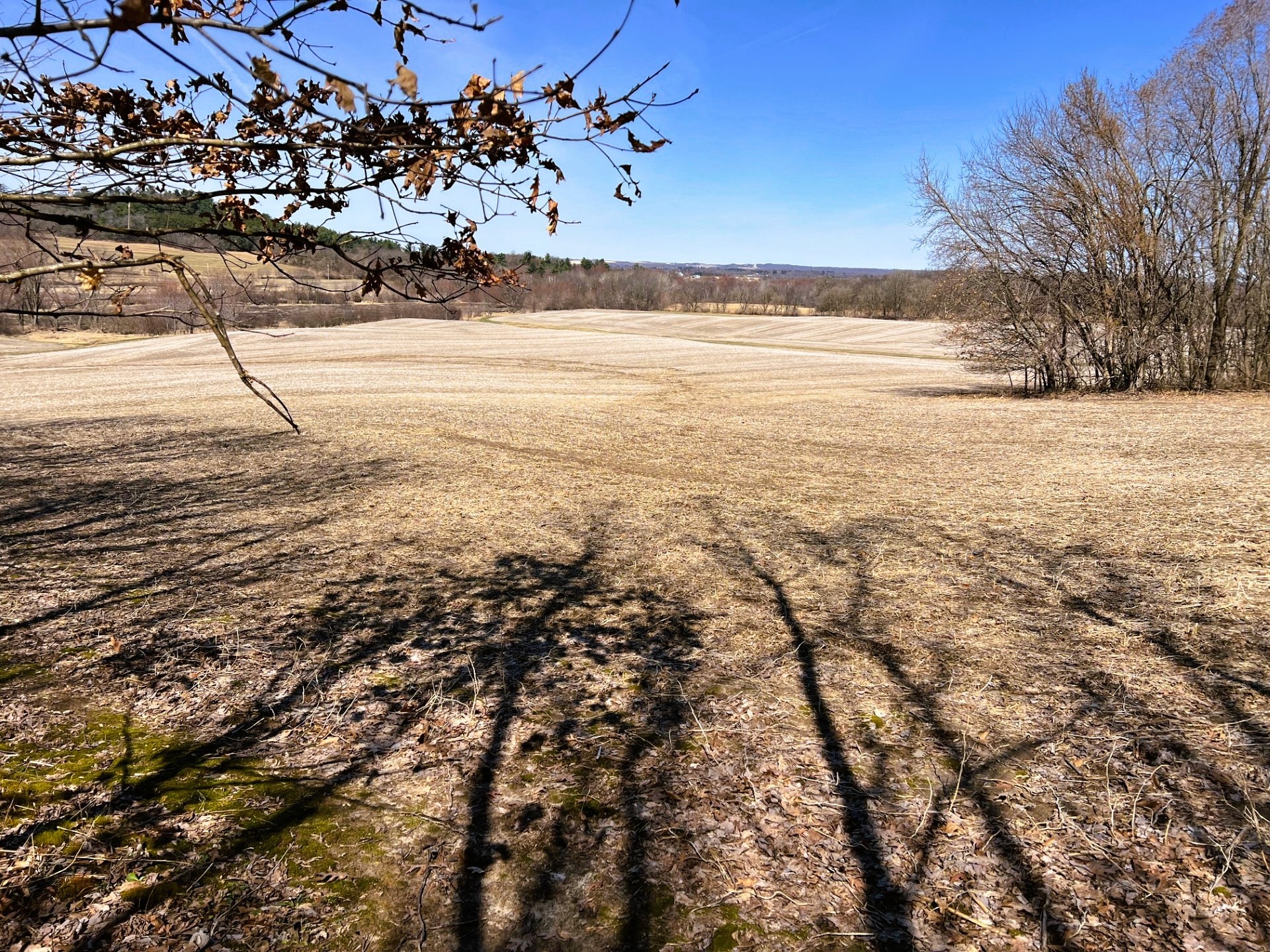 000 Pete Coulee Road Taylor WI 54659 1599909 image27