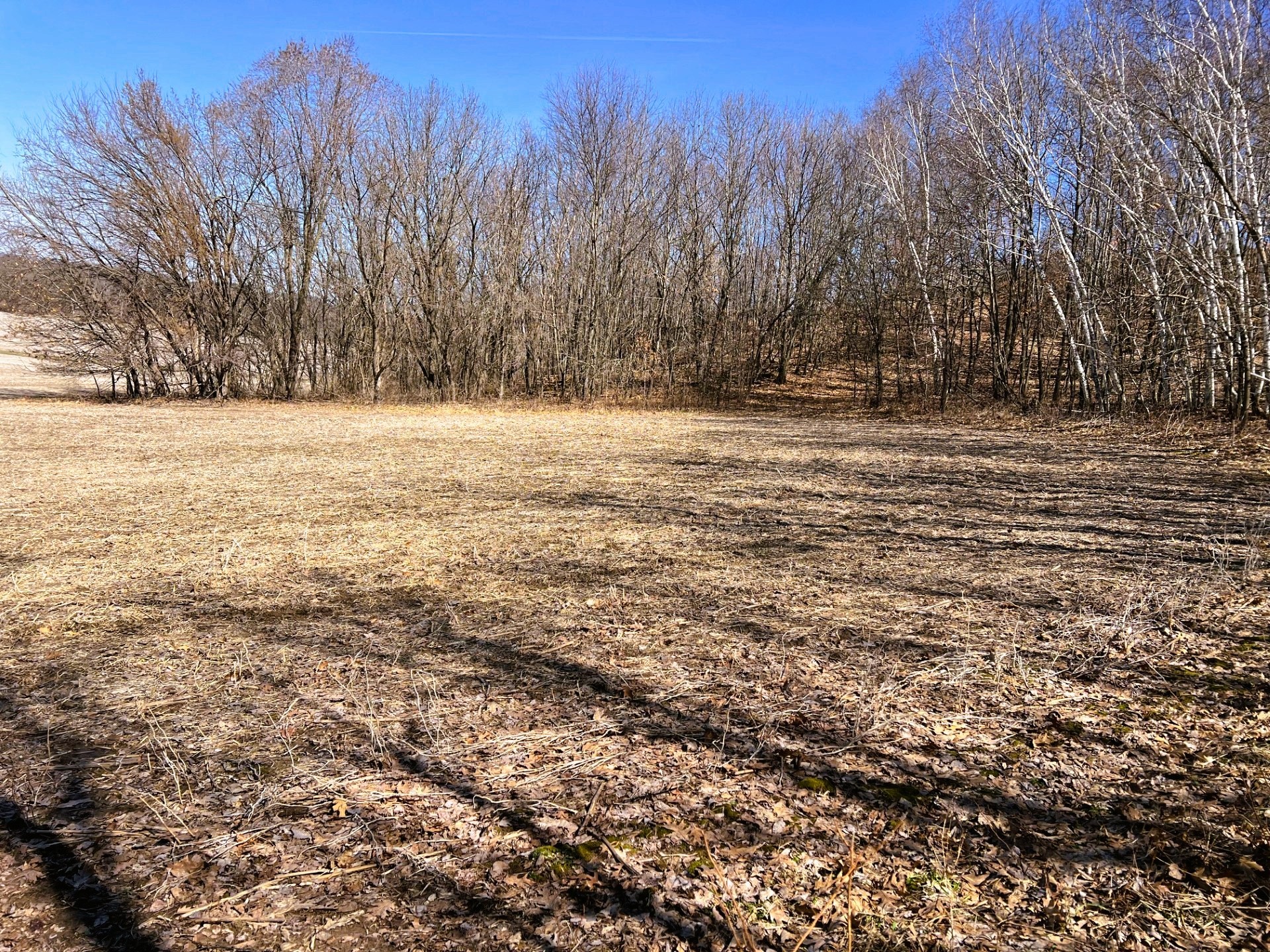 000 Pete Coulee Road Taylor WI 54659 1599909 image29
