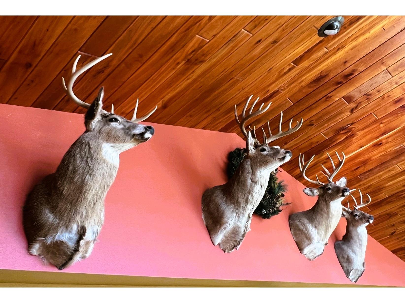 000 Pete Coulee Road Taylor WI 54659 1599909 image3