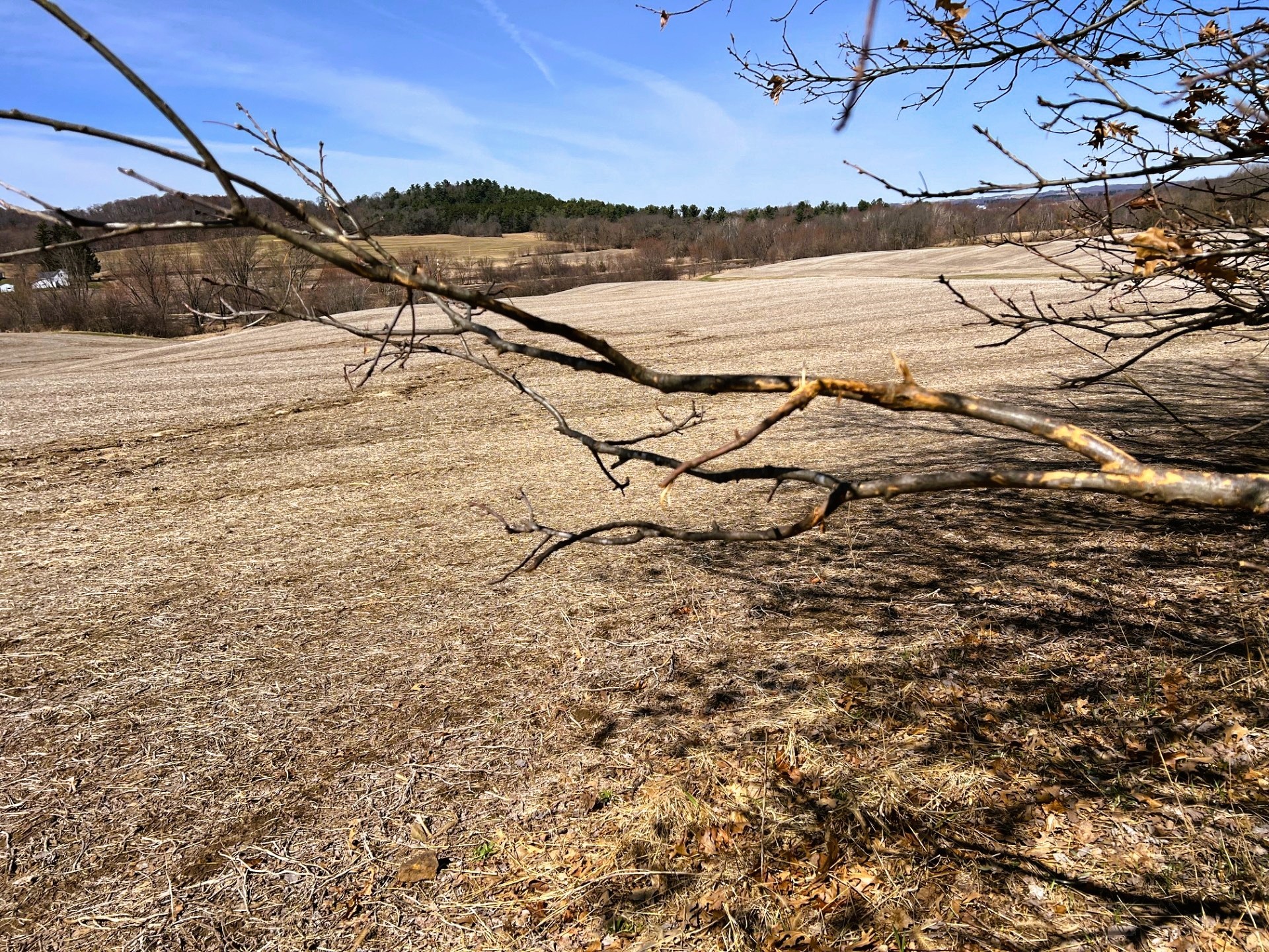 000 Pete Coulee Road Taylor WI 54659 1599909 image31