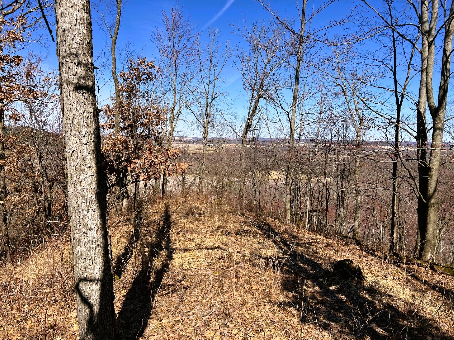 000 Pete Coulee Road Taylor WI 54659 1599909 image35