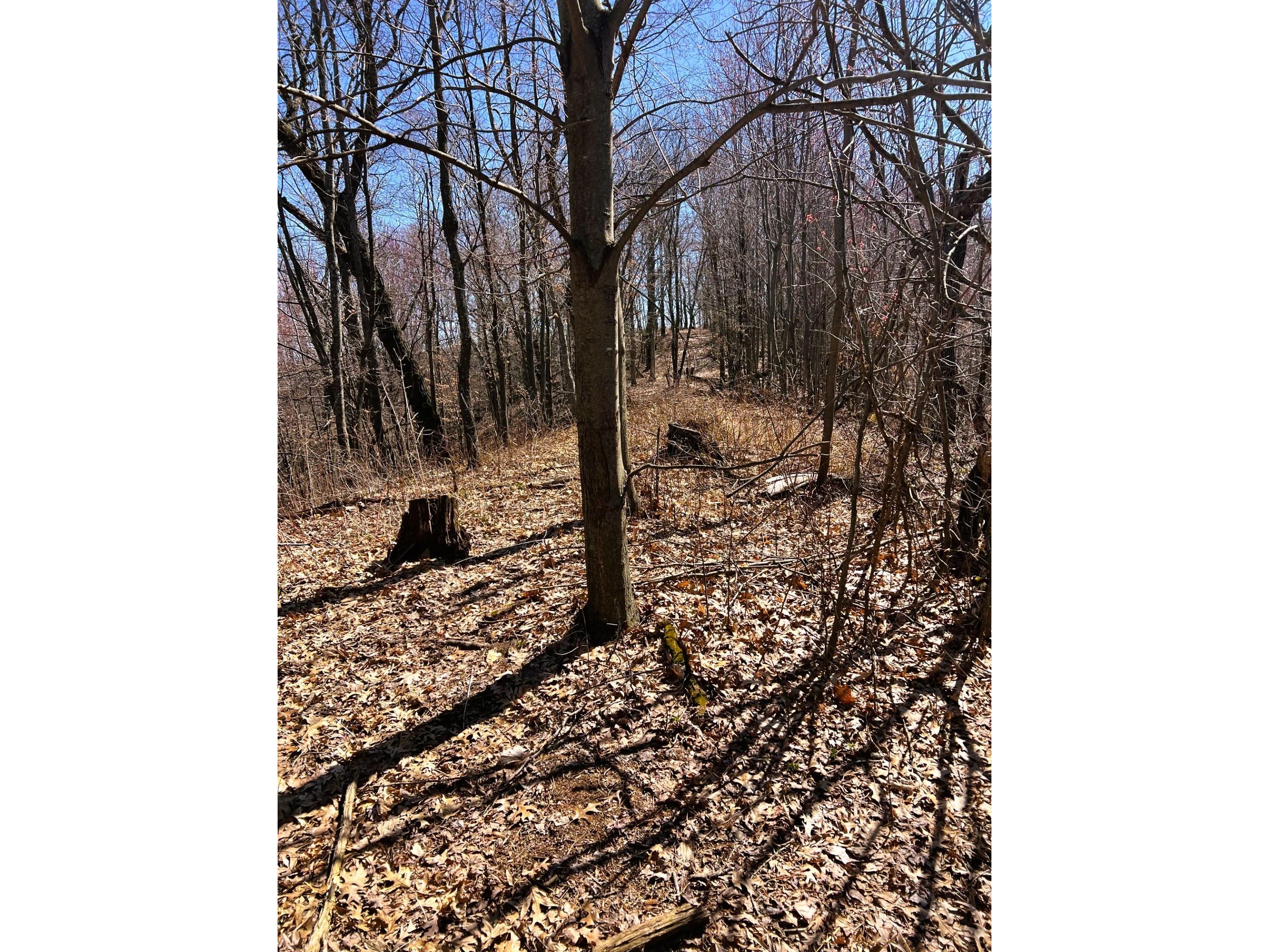 000 Pete Coulee Road Taylor WI 54659 1599909 image36