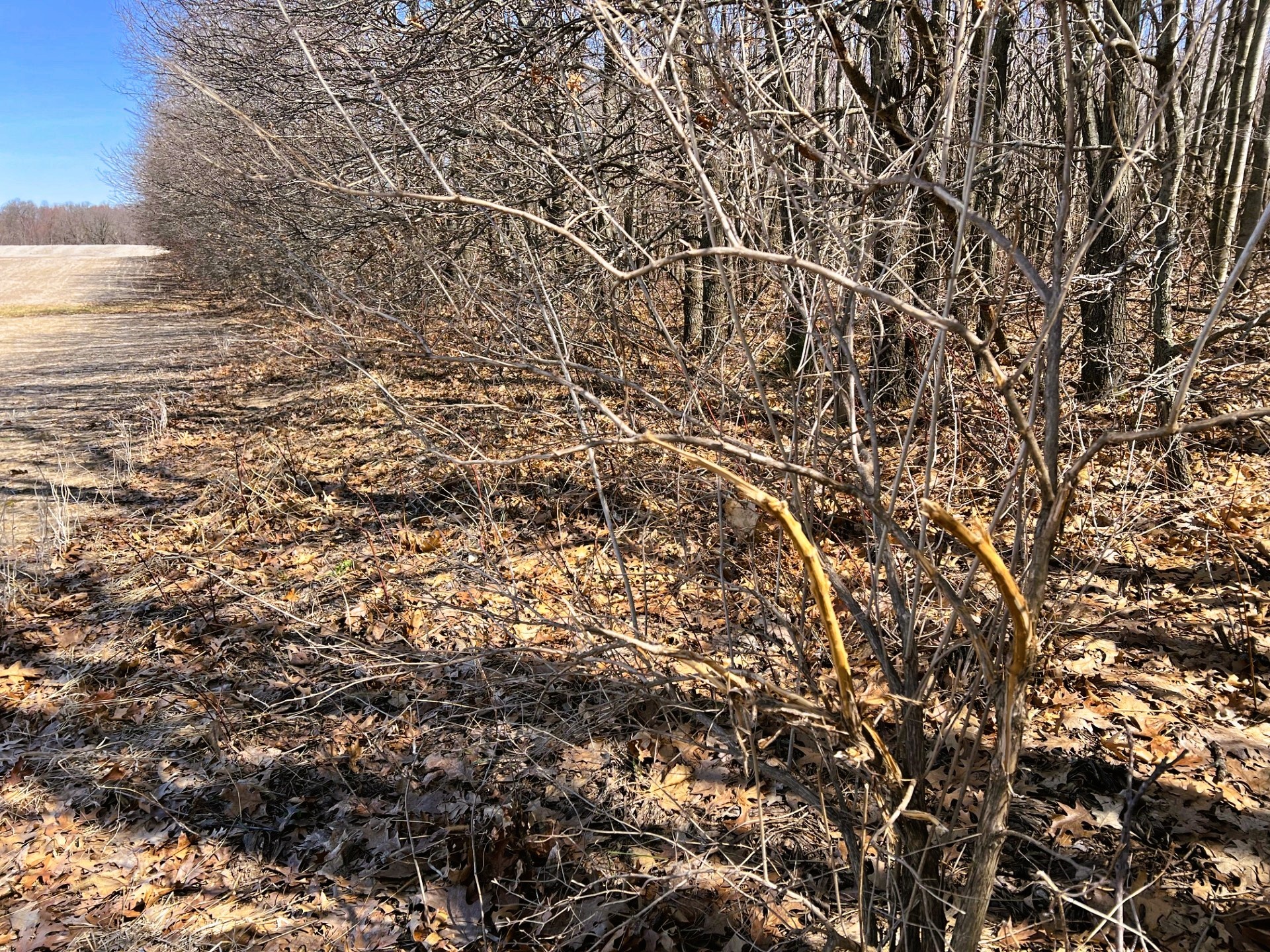 000 Pete Coulee Road Taylor WI 54659 1599909 image37