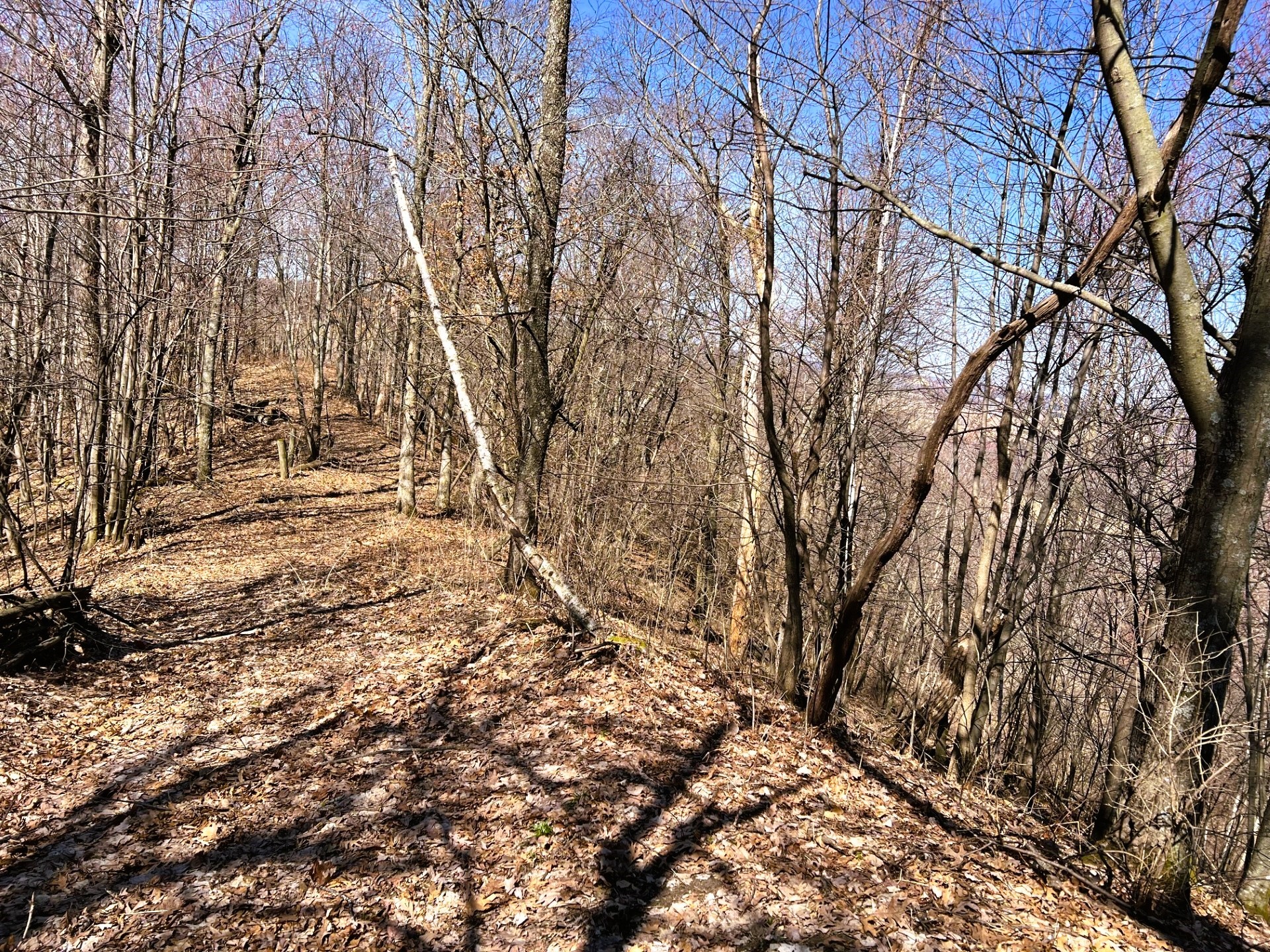 000 Pete Coulee Road Taylor WI 54659 1599909 image39