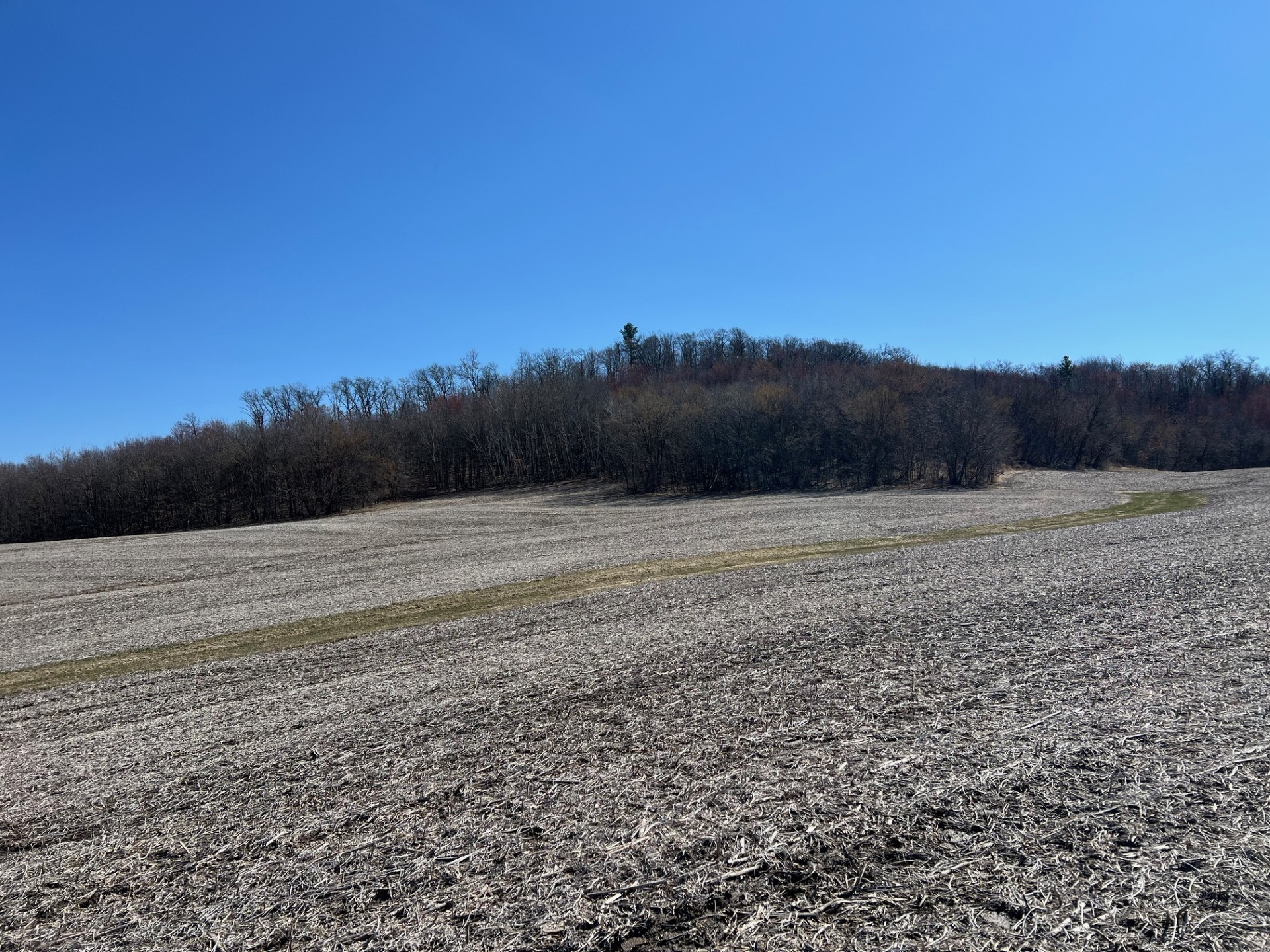 000 Pete Coulee Road Taylor WI 54659 1599909 image4