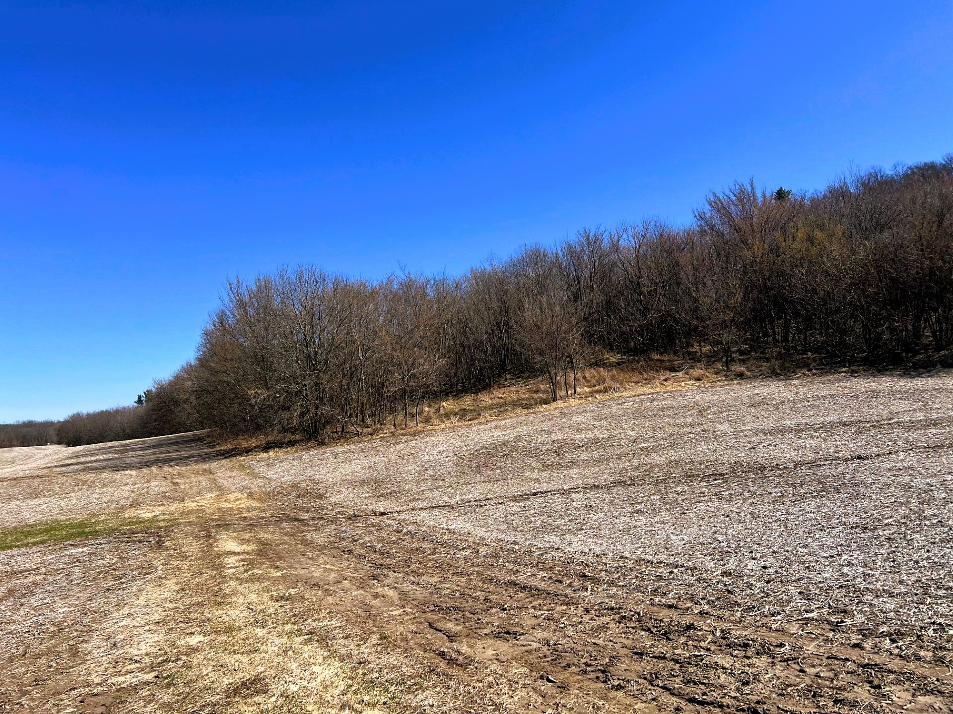 000 Pete Coulee Road Taylor WI 54659 1599909 image8