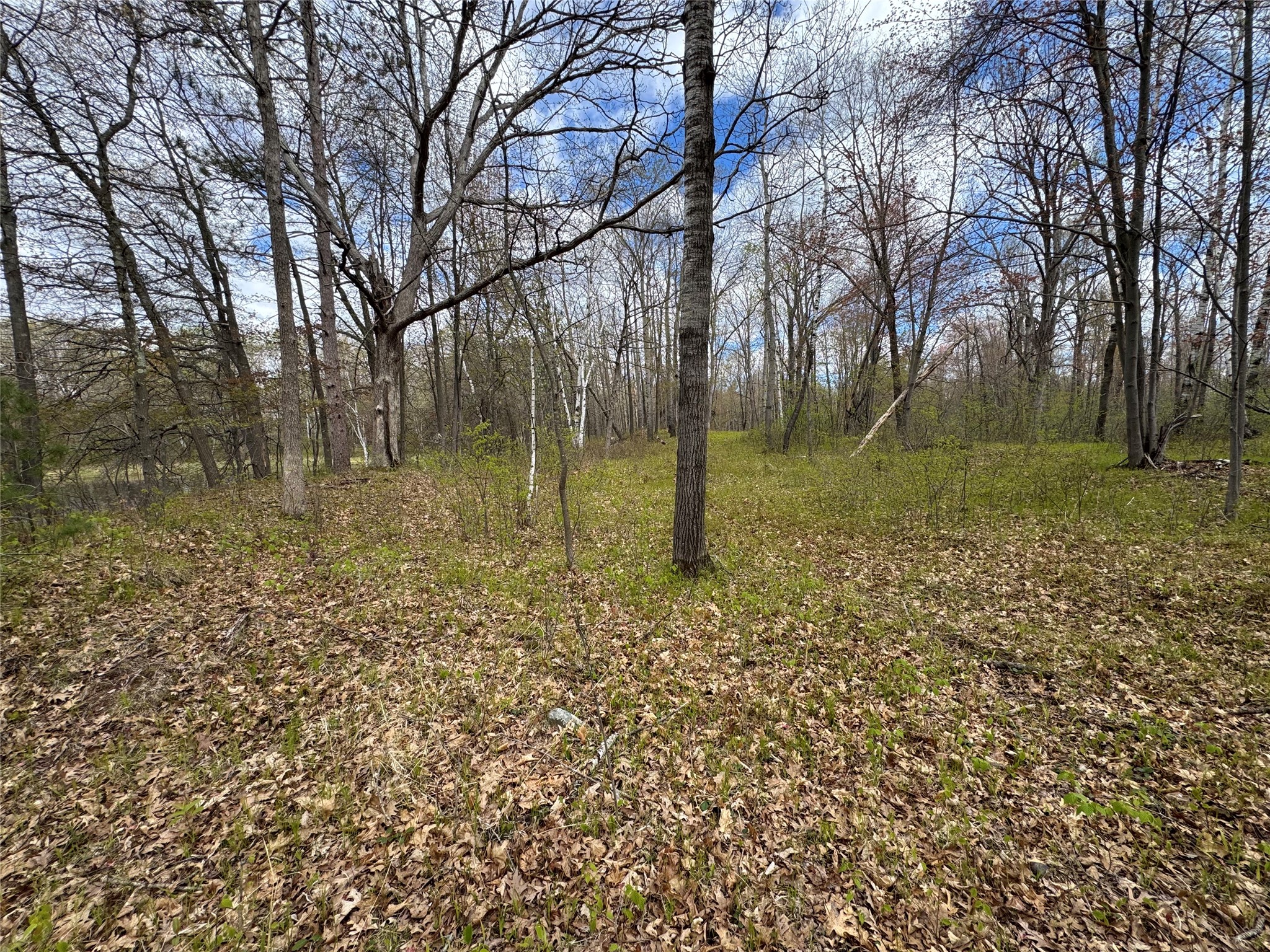 000 Ramer Road Bruce WI 54819 - Caley Lake 1601306 image23