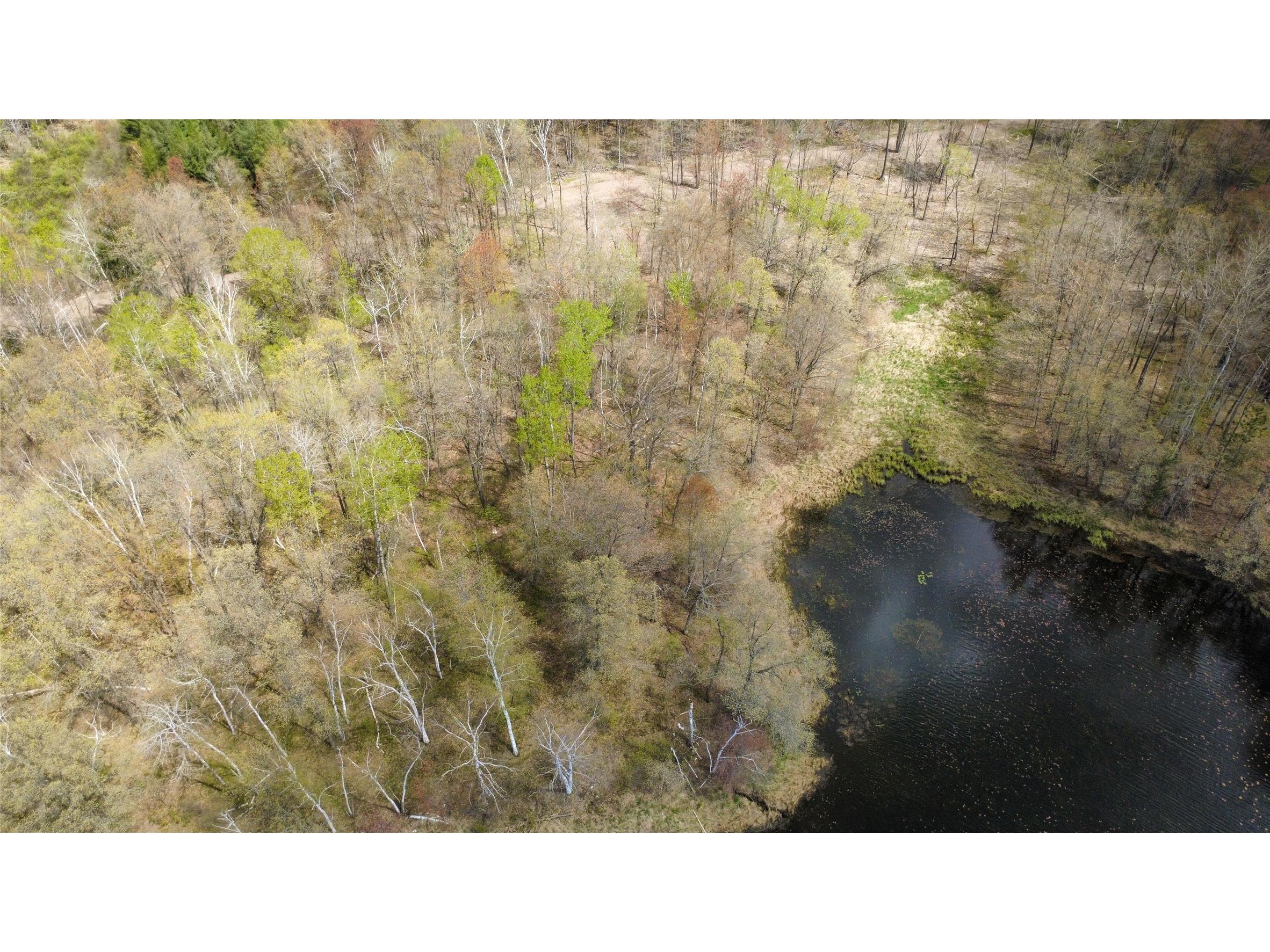 000 Ramer Road Bruce WI 54819 - Caley Lake 1601306 image3