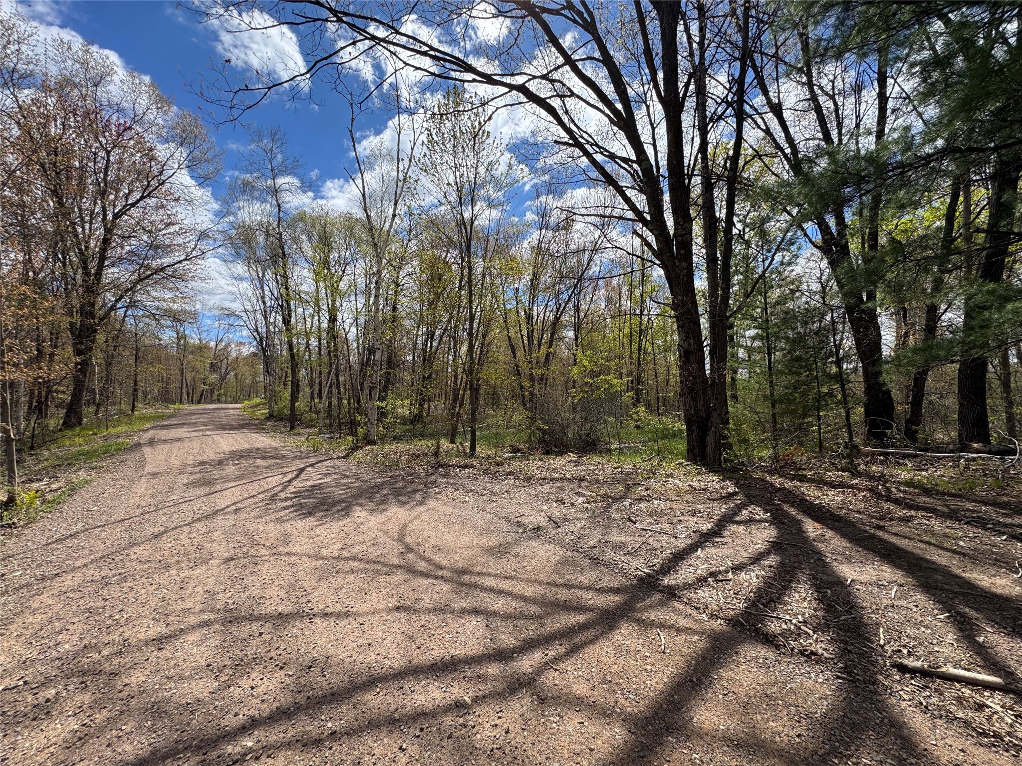 000 Ramer Road Bruce WI 54819 - Caley Lake 1601306 image4