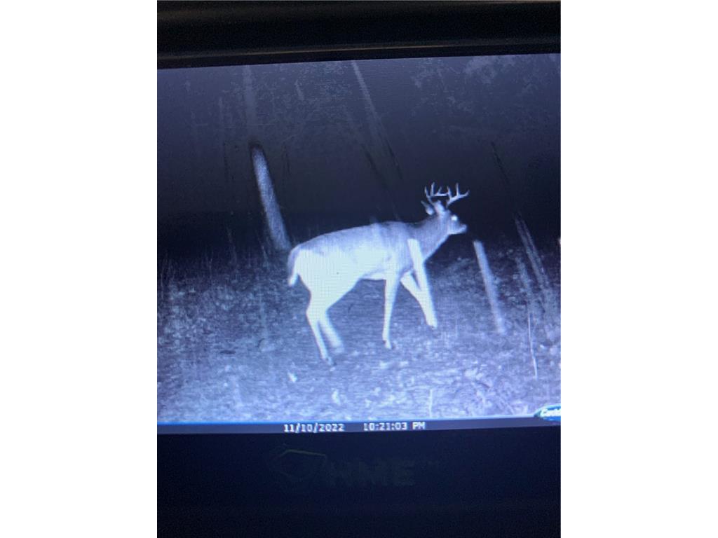 000 Say Hi Rd Springbrook WI 54875 1569925 image1