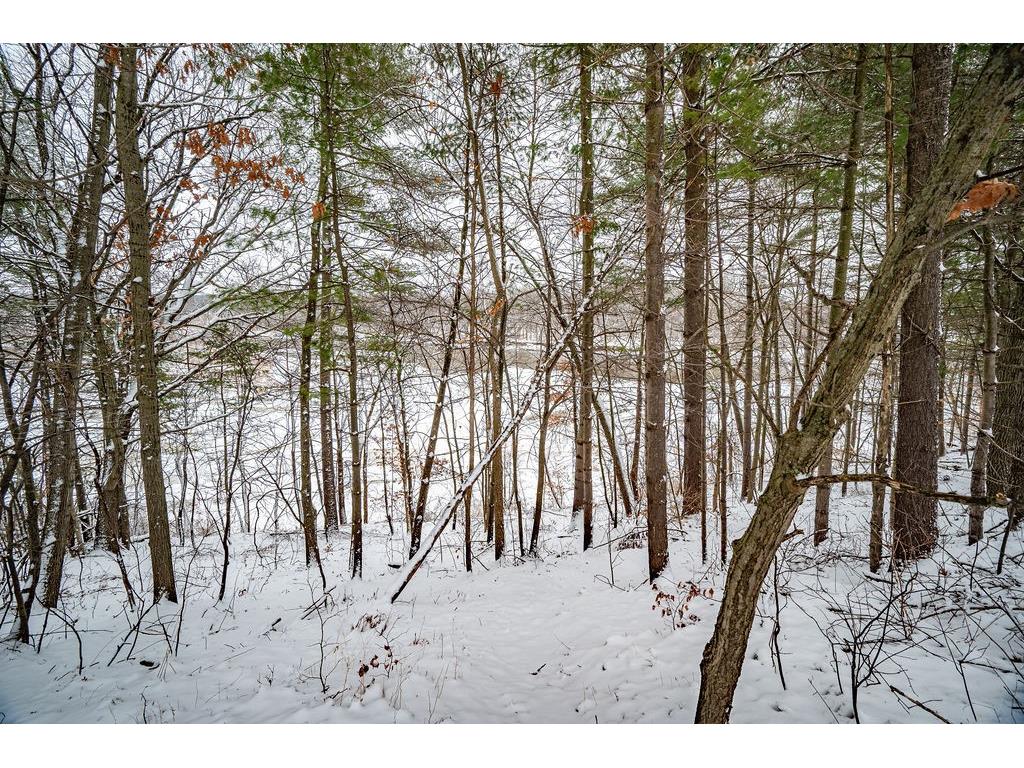 000 State Rd 25 Menomonie WI 54751 - Red Cedar River 1598539 image6