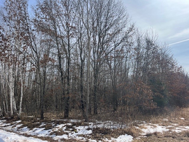 000 Williams Road Shell Lake WI 54871 1589411 image1