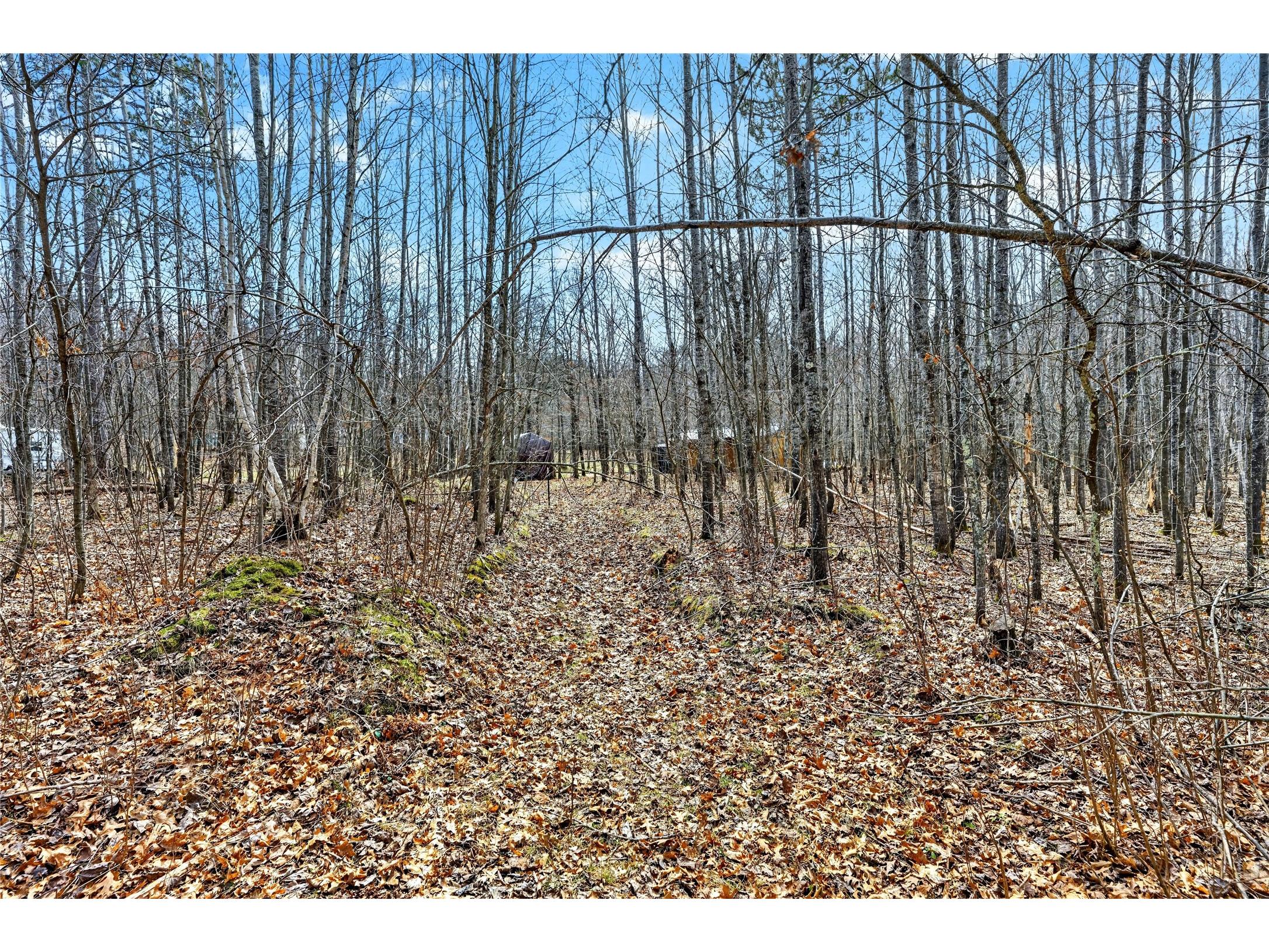 000 Woodburn Avenue Trego WI 54888 1600433 image6