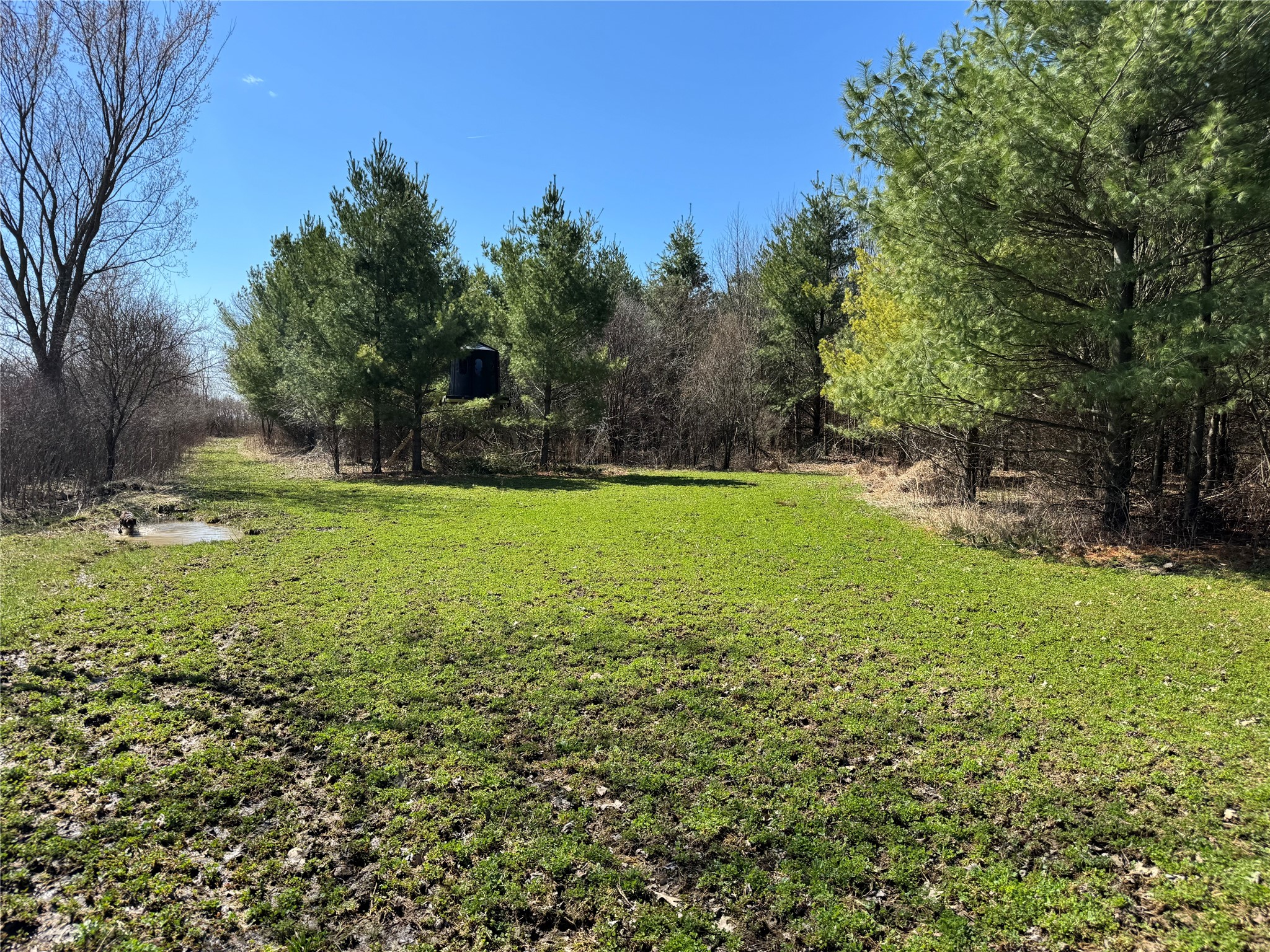 0000 110th Avenue Avenue Glenwood City WI 54013 1600179 image15