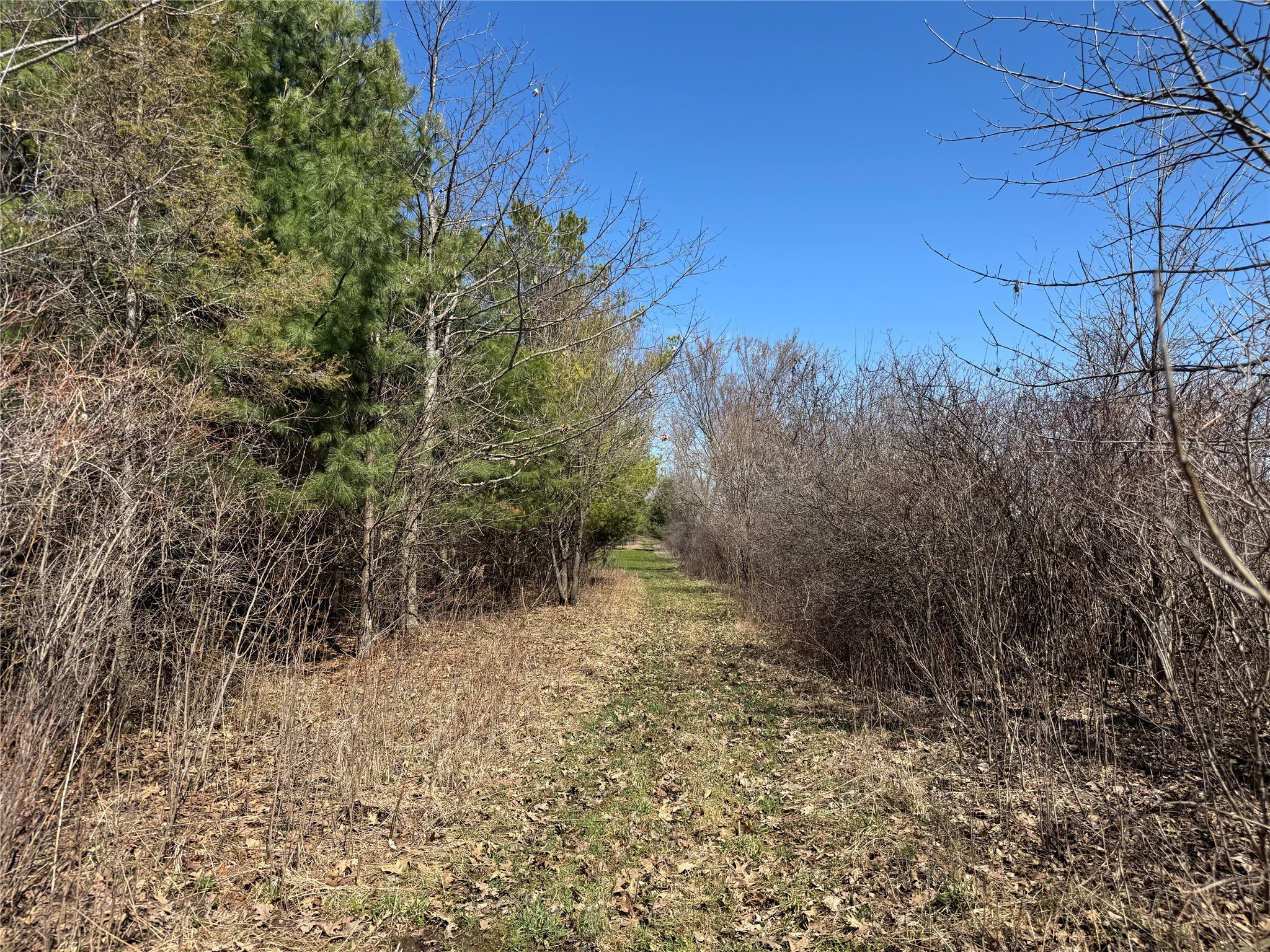 0000 110th Avenue Avenue Glenwood City WI 54013 1600179 image18