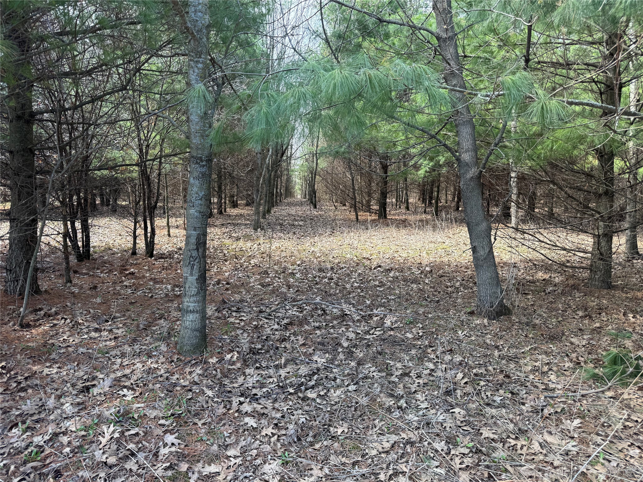 0000 110th Avenue Avenue Glenwood City WI 54013 1600179 image36